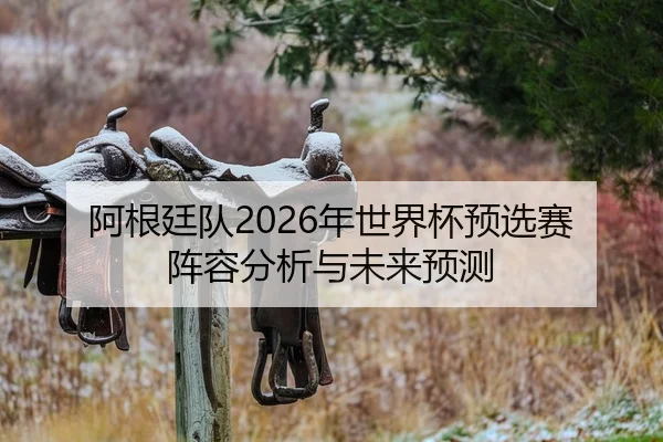 阿根廷队2026年世界杯预选赛阵容分析与未来预测