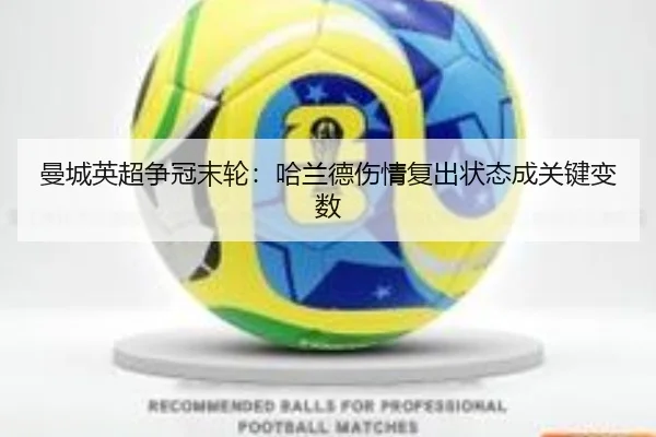 man-cheng-ying-chao-zheng-guan-mo-lun-ha-lan-de-shang-qing-fu-chu-zhuang-tai-cheng-guan-jian-bian-shu-2-931.jpg
