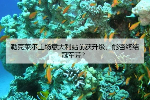 勒克莱尔主场意大利站前获升级，能否终结冠军荒？
