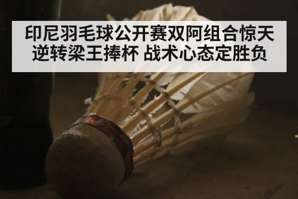 印尼羽毛球公开赛双阿组合惊天逆转梁王捧杯 战术心态定胜负